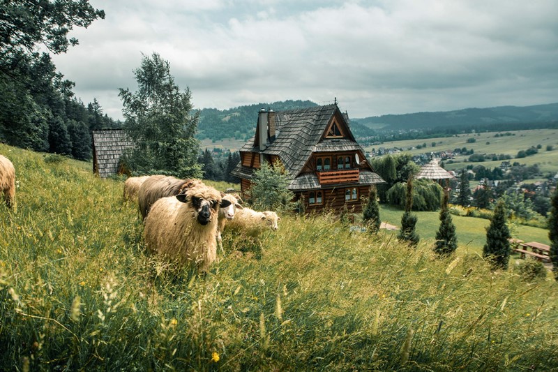 Dom Łoś Zakopane