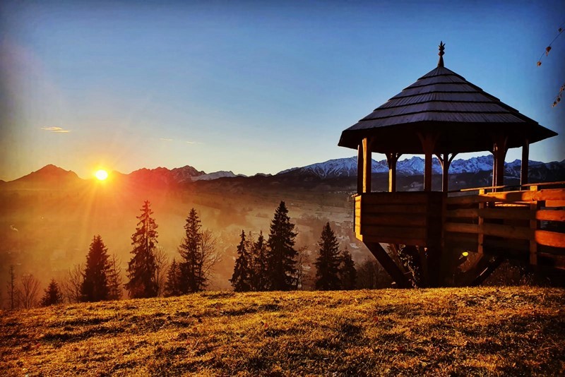 Dom Łoś Zakopane