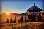 Dom Łoś Zakopane