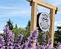 domki na Wypasie