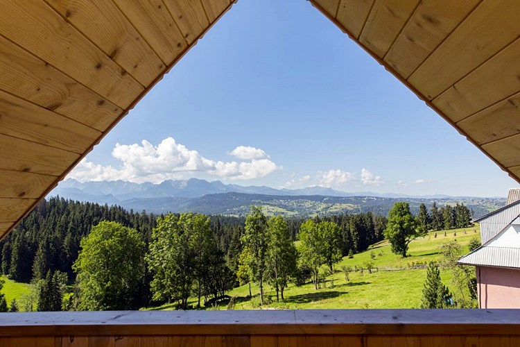 Forest House Rzepiska