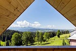 Forest House Rzepiska
