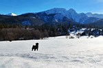 Góralski Dom w Zakopanem