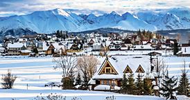 Luxury Chalet Villa Gorsky 