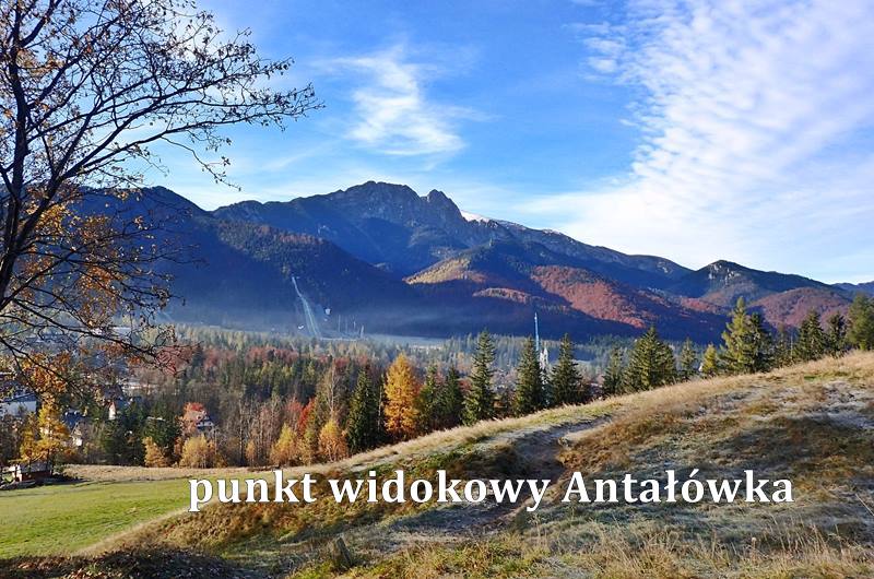 Domek Zielony Zakątek Zakopane